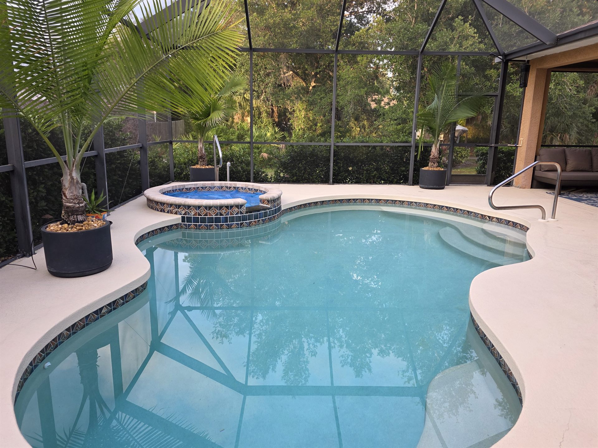 Pool with palms and screened enclosure